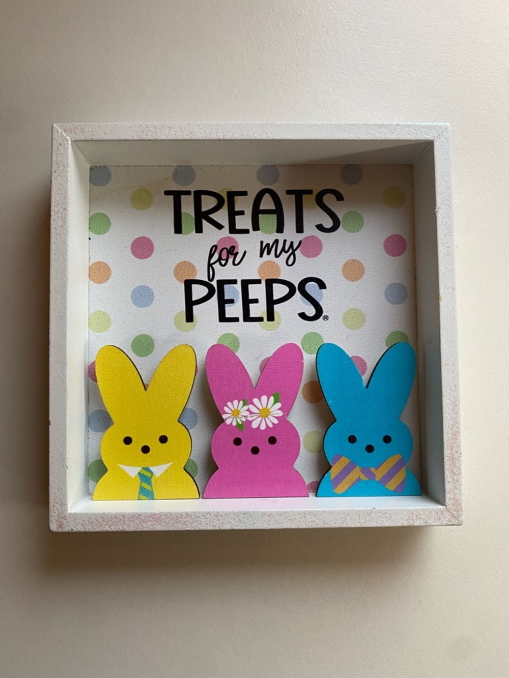 🏷️Treats for My Peeps Decorative Small Pets Sign - Yellow, Pink, Blue